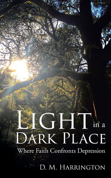 Produktbild: Light in a Dark Place