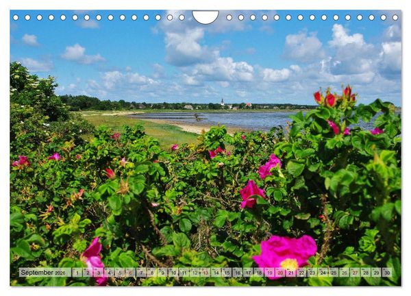 Produktbild: Typisch Amrum! (Wandkalender 2026 DIN A4 quer), CALVENDO Monatskalender