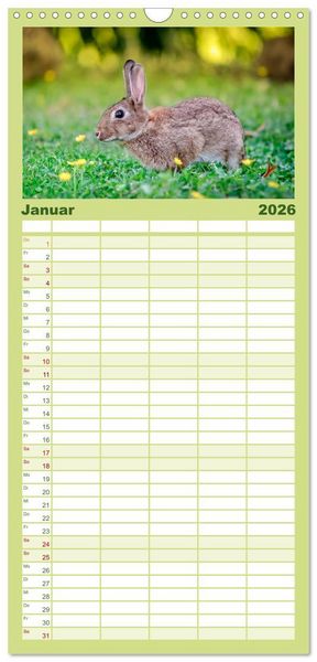 Produktbild: Familienplaner 2026 - Feldhasen und Kaninchen mit 5 Spalten (Wandkalender, 21 x 45 cm) CALVENDO