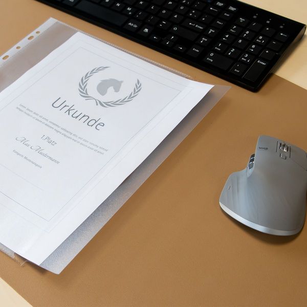 Produktbild: Idena Dokumentenh&uuml;llen 120&micro; genarbt DIN A4 10 St&uuml;ck