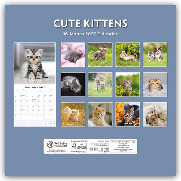 Produktbild: Cute Kittens &ndash; Niedliche K&auml;tzchen 2027 &ndash; 16-Monatskalender