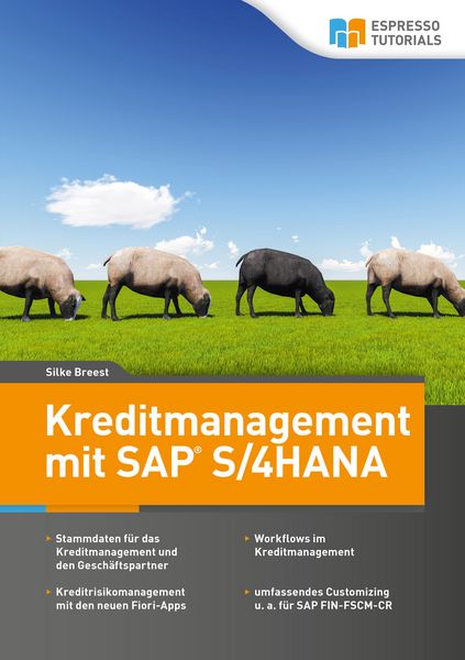 Produktbild: Kreditmanagement mit SAP S/4HANA