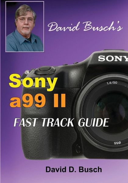 Produktbild: David Busch's Sony Alpha A99 Ii Fast Track Guide