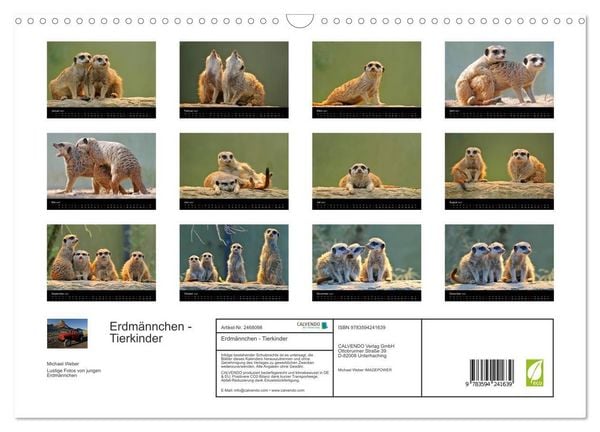 Produktbild: Erdm&auml;nnchen - Tierkinder (Wandkalender 2027 DIN A3 quer), CALVENDO Monatskalender