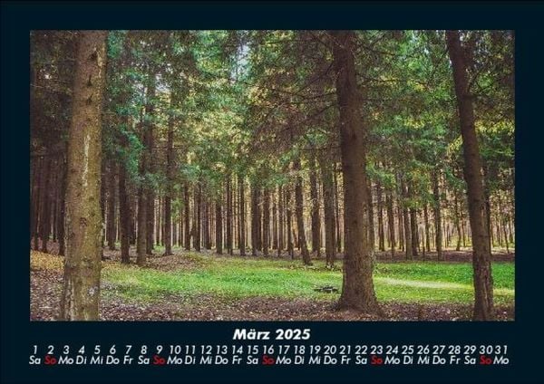 Produktbild: B&auml;ume 2025 Fotokalender DIN A5