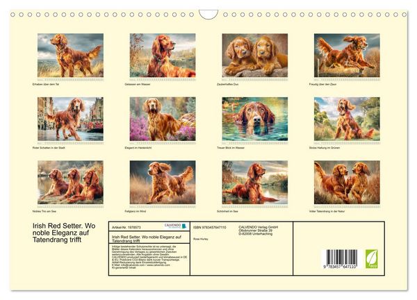 Produktbild: Irish Red Setter. Wo noble Eleganz auf Tatendrang trifft (Wandkalender 2026 DIN A3 quer), CALVENDO Monatskalender