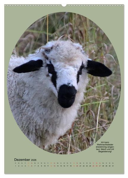 Produktbild: Scharfe Portraits (hochwertiger Premium Wandkalender 2026 DIN A2 hoch), Kunstdruck in Hochglanz