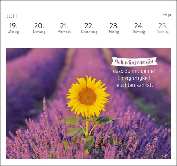 Produktbild: Postkartenkalender 2027: Was ich dir w&uuml;nsche f&uuml;r jeden Tag