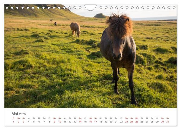 Produktbild: Island - Mehr als nur eine Insel. (Wandkalender 2026 DIN A4 quer), CALVENDO Monatskalender