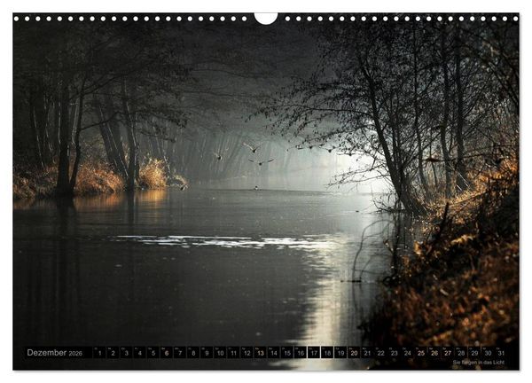 Produktbild: Traumlandschaften 2026 (Wandkalender 2026 DIN A3 quer), CALVENDO Monatskalender