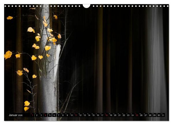 Produktbild: Zauberhafter Sachsenwald (Wandkalender 2026 DIN A3 quer), CALVENDO Monatskalender