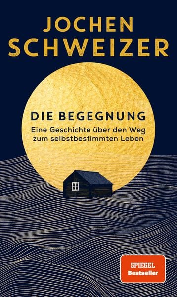 Die Begegnung, Gebundene Ausgabe von Jochen Schweizer, Next Level Verlag, 978-3-689-36056-6