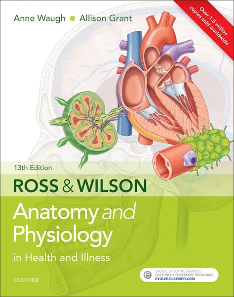 Produktbild: Ross & Wilson Anatomy and Physiology in Health and Illness