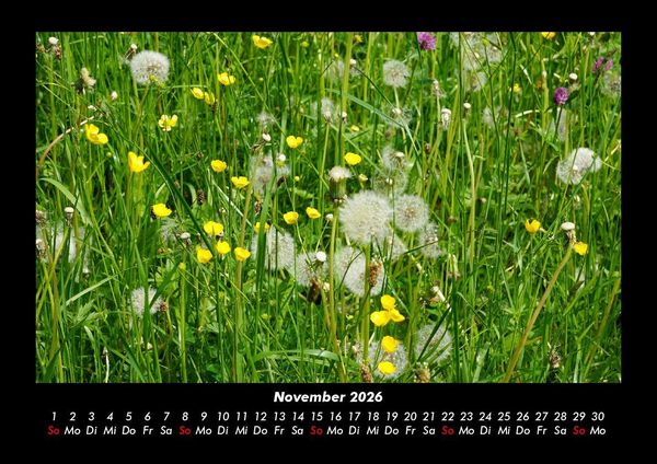 Produktbild: Blumenkalender 2026 Fotokalender DIN A3