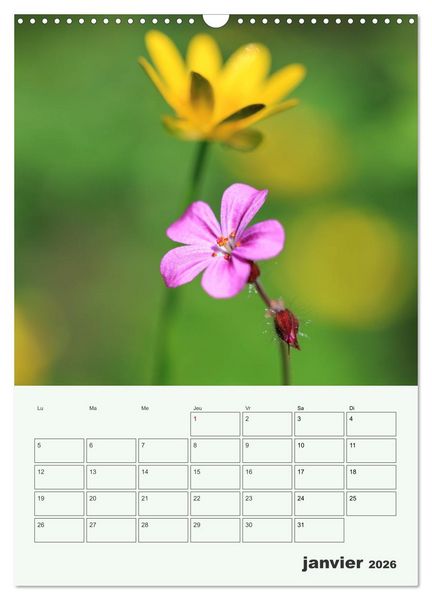 Produktbild: Les fleurs, &eacute;ternelles &eacute;phem&egrave;res (Calendrier mural 2026 DIN A3 horizontal), CALVENDO calendrier mensuel