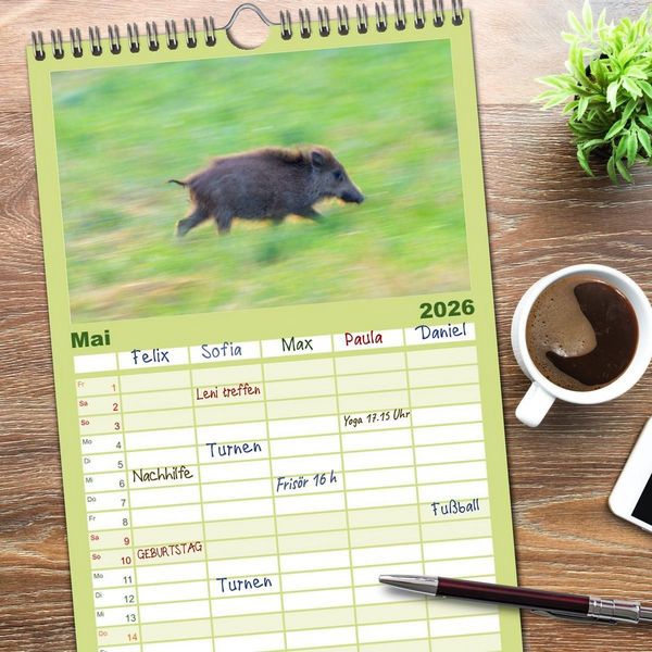 Produktbild: Familienplaner 2026 - Wildschweine &ndash; Wildlife Fotografien mit 5 Spalten (Wandkalender, 21 x 45 cm) CALVENDO