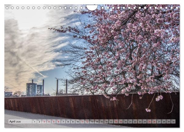 Produktbild: Wolfsburg - mehr als graue Industrie. (Wandkalender 2026 DIN A4 quer), CALVENDO Monatskalender