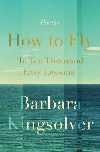 Produktbild: How to Fly (in Ten Thousand Easy Lessons)