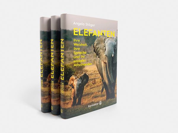 Produktbild: Elefanten