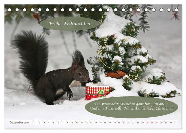 Produktbild: Eichh&ouml;rnchen - Lustige Kurzgeschichten mit den quirligen Wildtieren (Tischkalender 2026 DIN A5 quer), CALVENDO Monatskalender