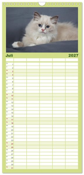 Produktbild: Familienplaner 2027 - Ragdoll Kitten mit 5 Spalten (Wandkalender, 21 x 45 cm) CALVENDO