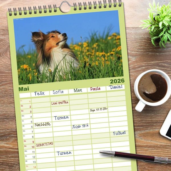 Produktbild: Familienplaner 2026 - Shelties 2026 mit 5 Spalten (Wandkalender, 21 x 45 cm) CALVENDO