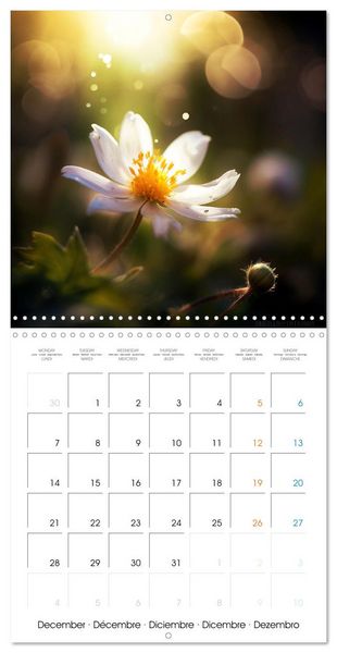 Produktbild: &Eacute;clats naturels (Calendrier mural carr&eacute; 2026 30x30 cm) Calendrier double avec une page pour vos prises de notes