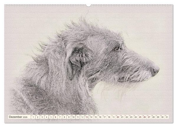 Produktbild: Windhunde 2026 (hochwertiger Premium Wandkalender 2026 DIN A2 quer), Kunstdruck in Hochglanz