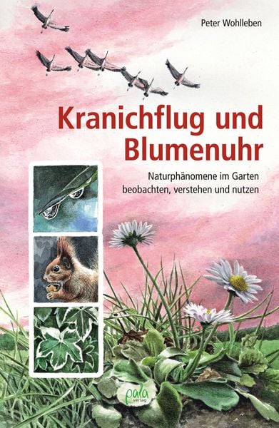 Kranichflug und Blumenuhr, Gebundene Ausgabe von Peter Wohlleben, Pala, 978-3-89566-384-0