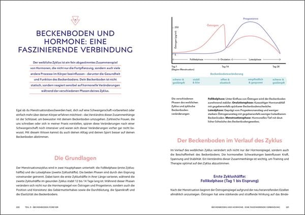 Produktbild: Die Beckenboden-Revolution