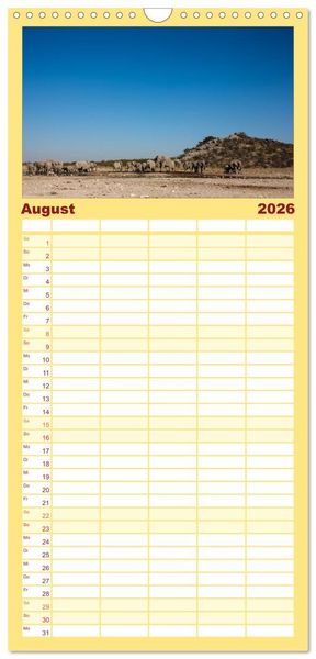Produktbild: Familienplaner 2026 - Wildes Namibia mit 5 Spalten (Wandkalender, 21 x 45 cm) CALVENDO