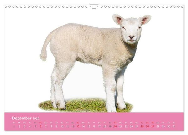 Produktbild: S&uuml;&szlig;e Tier-Babys! (Wandkalender 2026 DIN A3 quer), CALVENDO Monatskalender