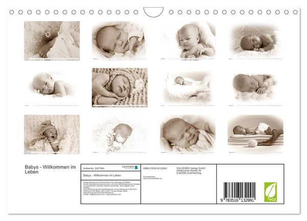 Produktbild: Babys - Willkommen im Leben (Wandkalender 2026 DIN A4 quer), CALVENDO Monatskalender