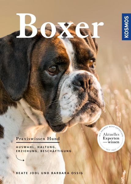 Produktbild: Boxer