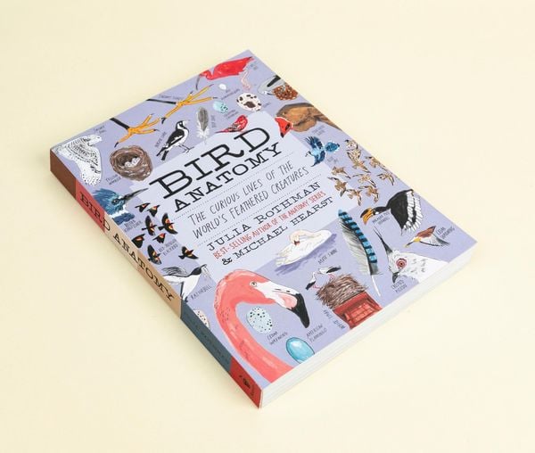 Produktbild: Bird Anatomy