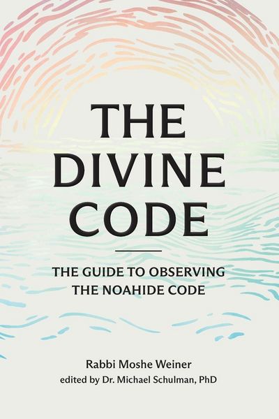Produktbild: The Divine Code