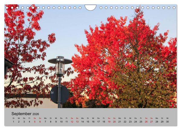 Produktbild: Unser Meckenheim (Wandkalender 2026 DIN A4 quer), CALVENDO Monatskalender