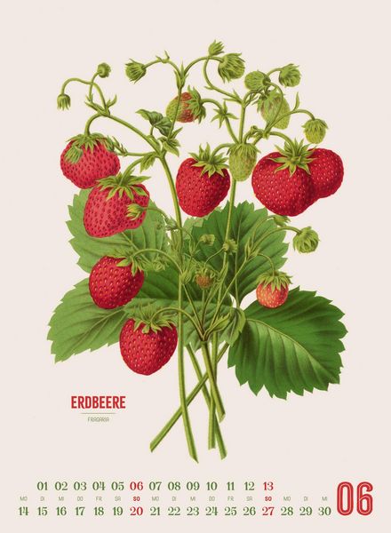 Produktbild: Obstgarten Kalender 2027 | Apfel, Birne, Pflaume & Co.