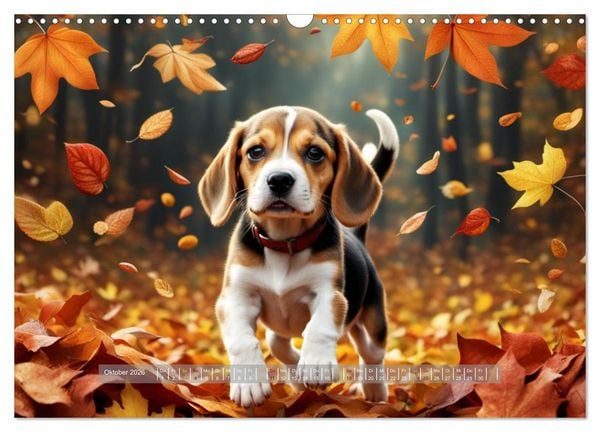Produktbild: Kuschelige Hunde - kleine Herzensbrecher in Aktion (Wandkalender 2026 DIN A3 quer), CALVENDO Monatskalender
