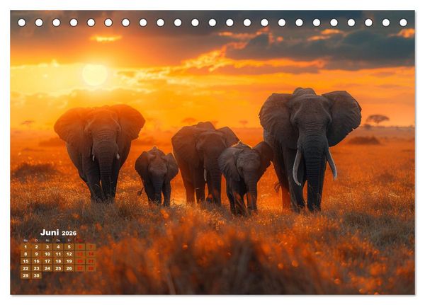 Produktbild: Liebenswerte Elefanten (Tischkalender 2026 DIN A5 quer), CALVENDO Monatskalender