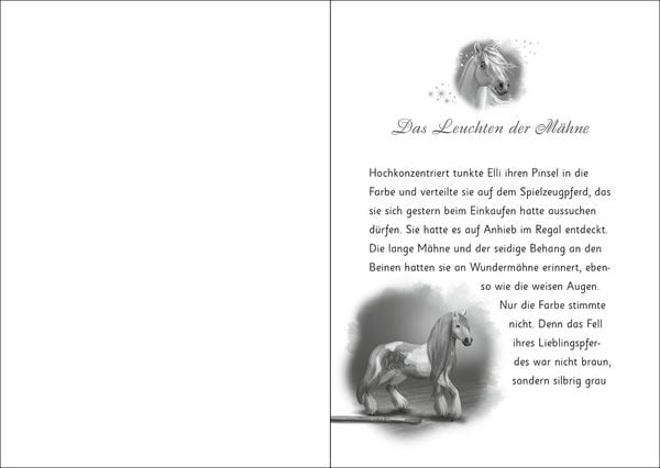 Produktbild: Wunderm&auml;hne (Band 5) - Die geheimnisvollen Wolkenpferde
