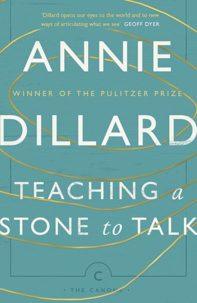 Produktbild: Teaching a Stone to Talk