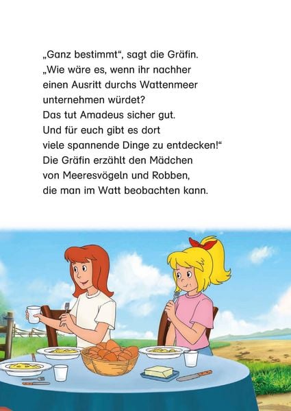 Produktbild: Bibi & Tina: Pferdesommer mit Bibi und Tina