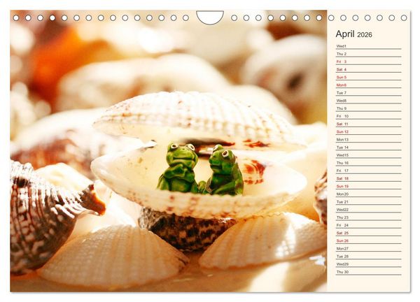 Produktbild: Shells, Stones and Sand (Wall Calendar 2026 DIN A4 landscape), CALVENDO 12 Month Wall Calendar