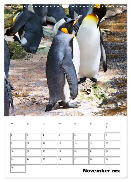 Produktbild: Pinguine. Familiengl&uuml;ck im Eis (Wandkalender 2026 DIN A3 hoch), CALVENDO Monatskalender