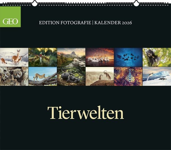 GEO - GEO Edition: Tierwelten 2026 – Wandkalender 70x60 cm, Tier-Poster-Kalender mit Wildlife-Fotografie, 12 Monatsblätter & Spiralbindung inkl.