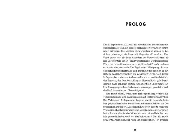 Produktbild: Pflegers Struggle