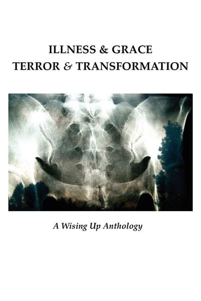 Produktbild: Illness & Grace, Terror & Transformation