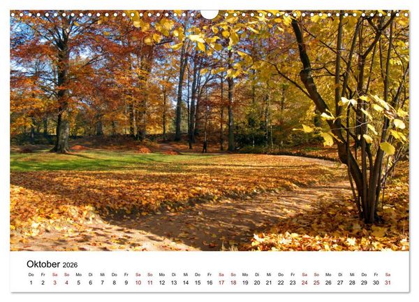 Produktbild: Waldheim (Wandkalender 2026 DIN A3 quer), CALVENDO Monatskalender