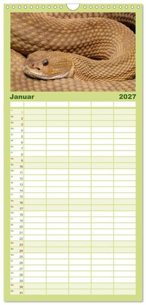Produktbild: Familienplaner 2027 - Schlangen mit 5 Spalten (Wandkalender, 21 x 45 cm) CALVENDO